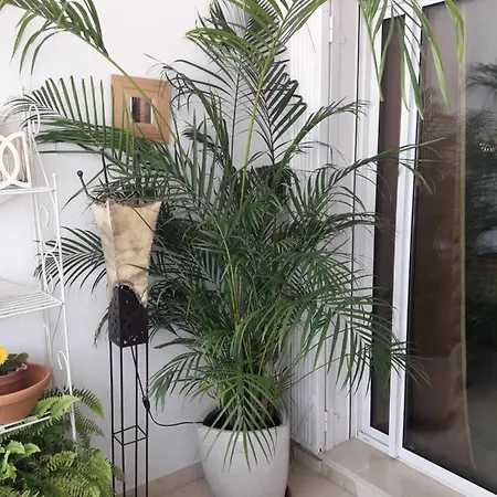 Apartment Banana 1a Linea De Playa Marbella